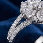 Celestial Diamond Sunburst Cluster Ring